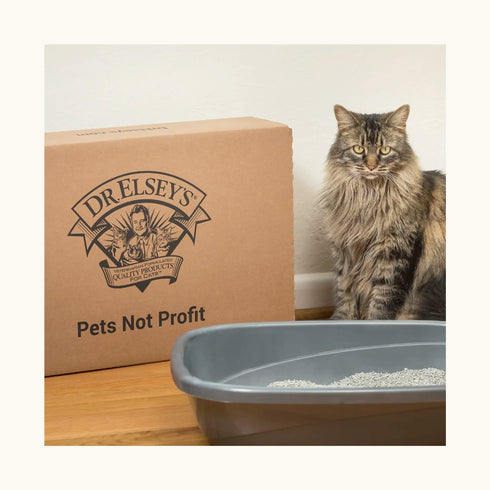 Dr. Elsey's Precious Cat Ultra Litter for Cats